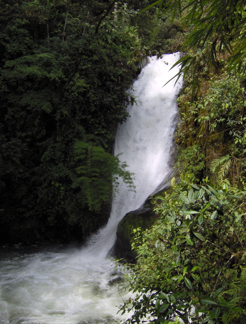 Cascada Pacifico
