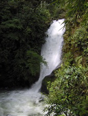 Cascada Pacifico