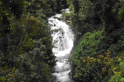 Cloudbridge Falls, in the valley below Casa Gavilan