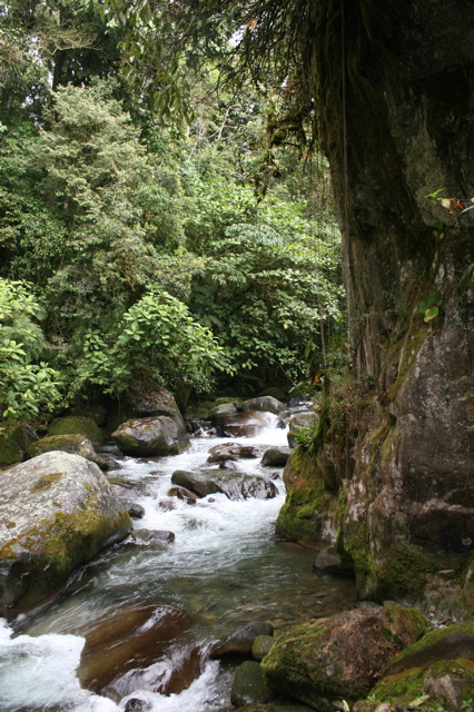 Rio Chirripo