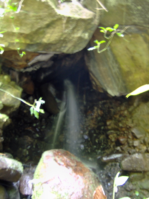 hidden falls