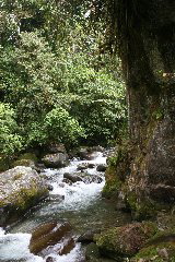 Rio Chirripo