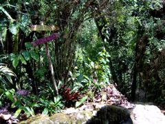 trail sign
