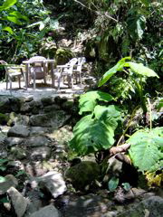 HPsitting area by creek
