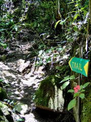 trail sign
