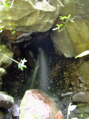 hidden falls