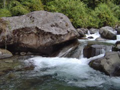 Swimming hole